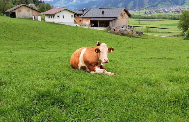 Apartment in Zillertal Near Spieljochbahn - Foto 36