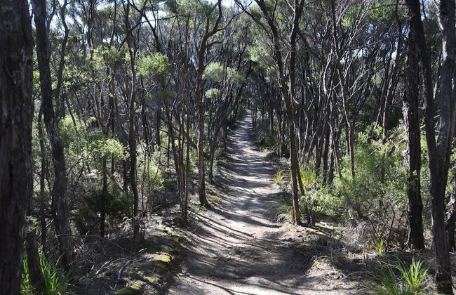 Adrift In Golden Bay - Foto 46