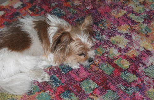 Holiday Home Bungalow Waldidyll by Interhome - Foto 54