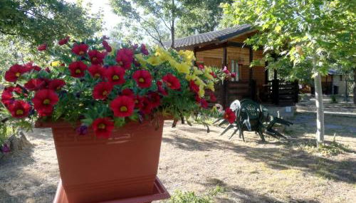 Cabañas Vallecino - Foto 3