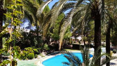 La casa de las Palmeras - Foto 2