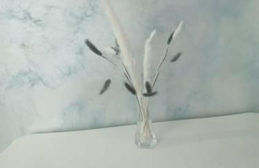 La Cascina della Vachina - Foto 14