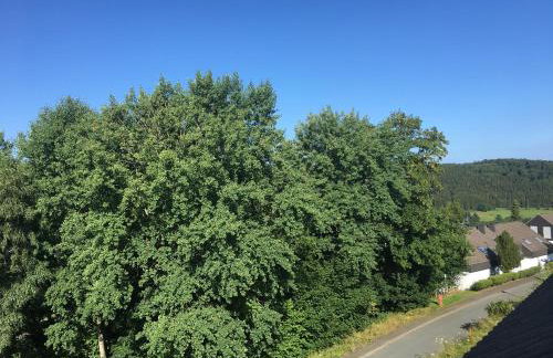 Berg- und Seeblick - Foto 30