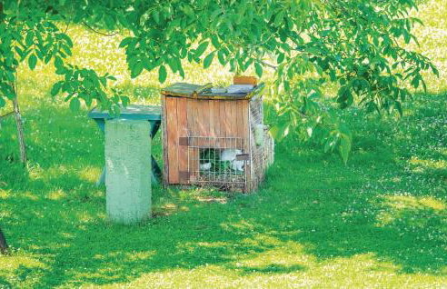 Apartment Nedescina Brnjci - Foto 55