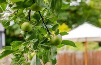 Charming Barn Retreat Near Pewsey & Woodborough - Foto 10