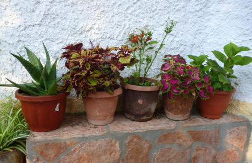 Kostas studios - Foto 25