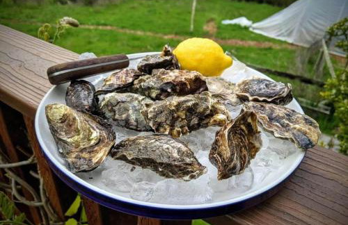 The Quail's Nest Retreat - Foto 8