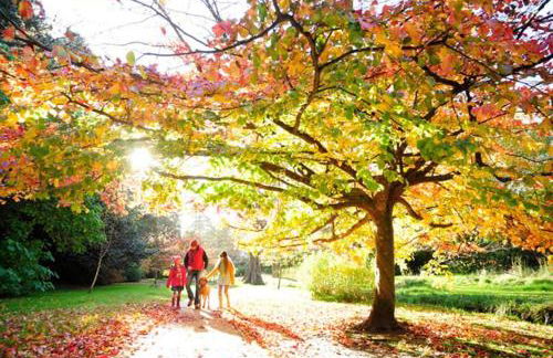 LOOKOUT by BOURNECOAST - A Stylish Flat with a Balcony, SEA GLIMPSES and Parking- Just a 10 Minute Walk to the Sandy Beaches - FM8405 - Photo 40