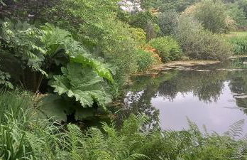 Polgwedhen Lodge - Photo 20