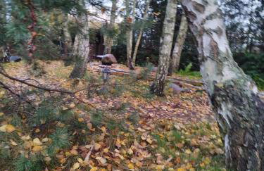 Domek blisko granicy u Darka - Photo 25