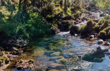 Miradouro da Branda - Foto 14