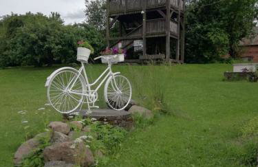 Żywkowo Bocianie Gospodarstwo Rolne - Foto 19