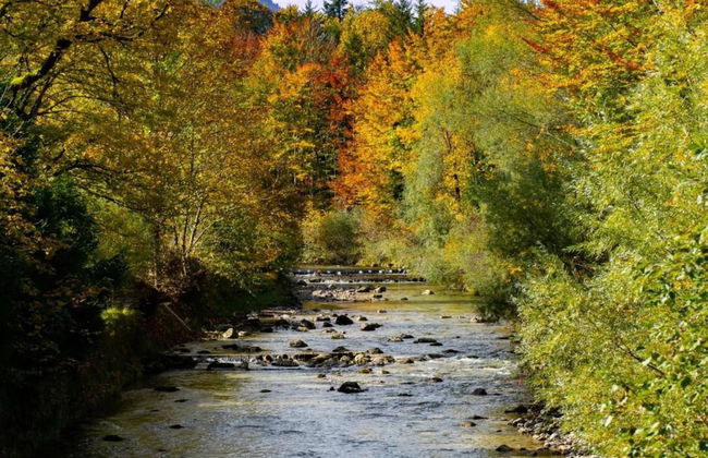 Unique Holiday Home in Ruhpolding With Sauna - Foto 27