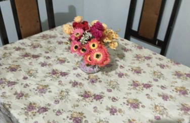 Casa Com 2 quartos, Garagem Ar tv - Foto 10