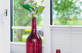 Ferienwohnung Landleben am Meer - Foto 27