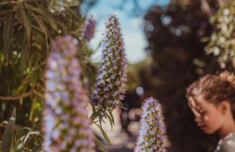 La Residence du Bailli - Foto 81