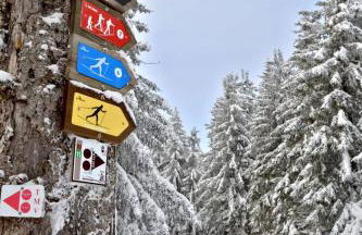 Gîte chez "Mamie Schlop" - Foto 20