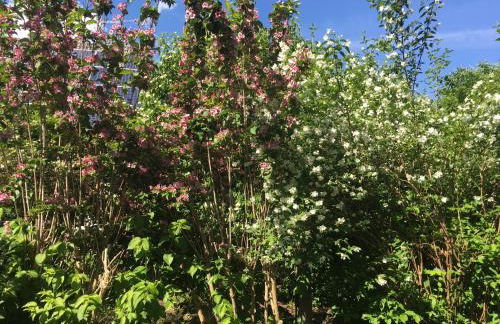 Augsburg-Bergheim E. - Foto 15