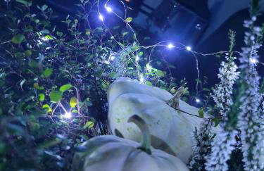 Tatra House z Jacuzzi - Foto 57