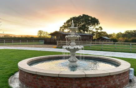 The Lodge - Photo 11