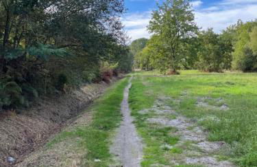 Villa au milieu des pins / bord du lac - Foto 45