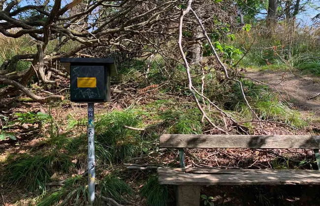 Ferienhaus in Wieda mit Garten - Foto 26