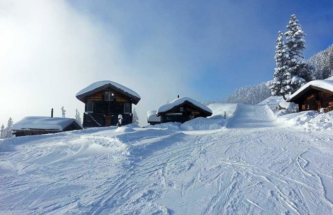 Alphütte Bielerchäller - Foto 12