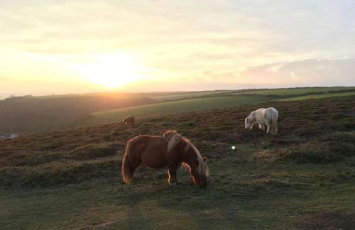 Beach Lovers Paradise in Portreath - With Sea Views & Log Burner just 100m from beach - Photo 30