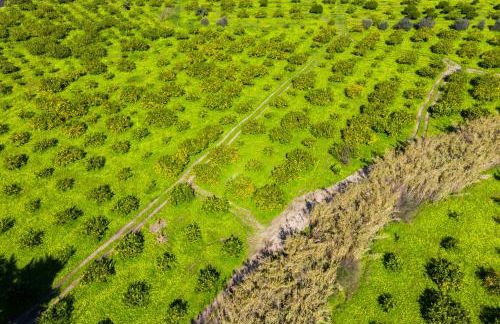 BioAgriturismo Antica Sena - Foto 43