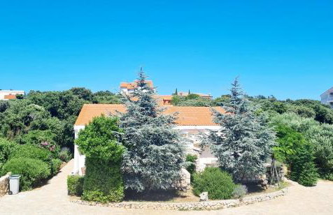 Lavender House - Photo 1