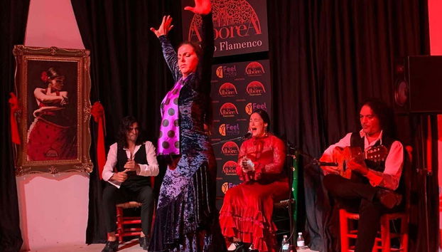 Flamenco show in La Alboreá