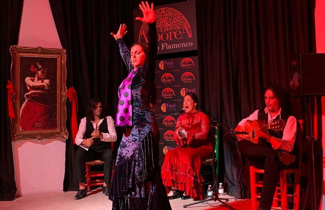 Spectacle de flamenco à La Alboreá - Photo 4