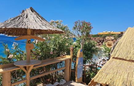 Anemelia & Helios Studio - Foto 45