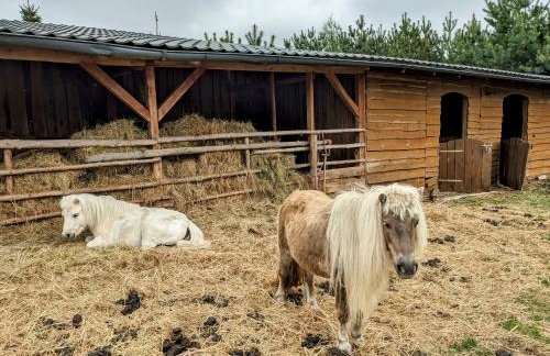 Hacienda Natura Agroturystyka - Photo 18