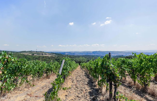 Belvilla by OYO Istrice - Foto 24