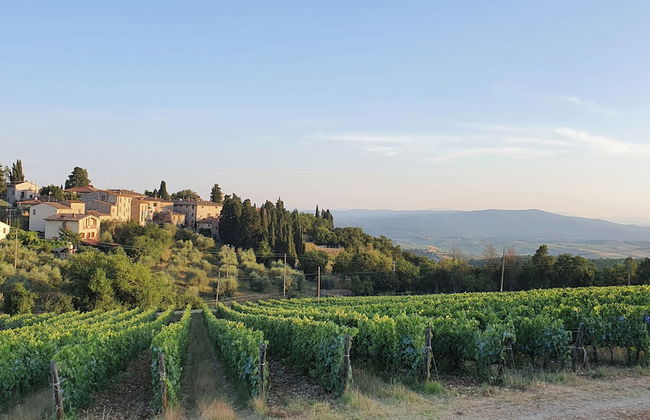 Il Nespolo Charming Apartment Fonterutoli - Foto 21