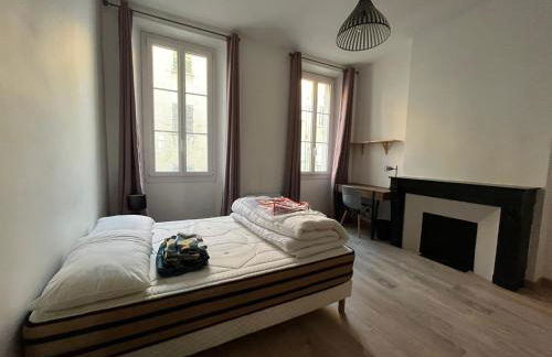 T4 Hausmanien Calme Jardin Alexandre Place de la Liberté - Foto 15