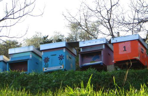 Agriturismo Terre Rosse Portofino - Foto 25