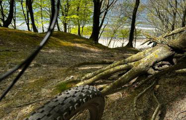 Apartament 9 Nina - Dębina - Foto 59