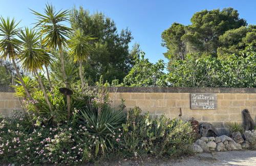 Casa Vacanze La Vecchia Brace - Foto 19