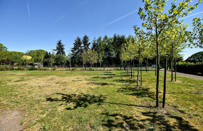 Detached Holiday House With Wifi and a Large Garden; Hike and Bike the Veluwe - Foto 22