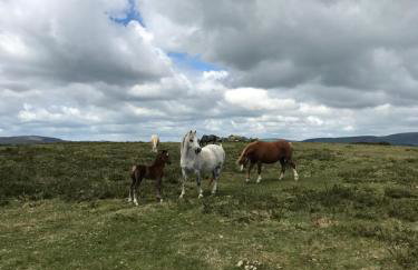 The Pig and Sty - Foto 18