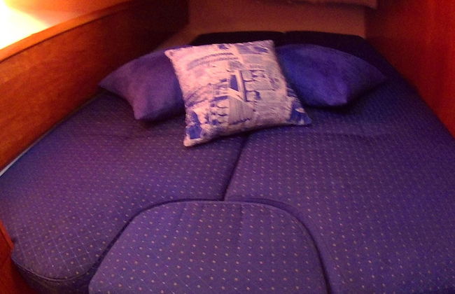 Scugnizza Napoli - Foto 8