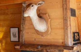 Authentique chalet montagnard - Photo 3