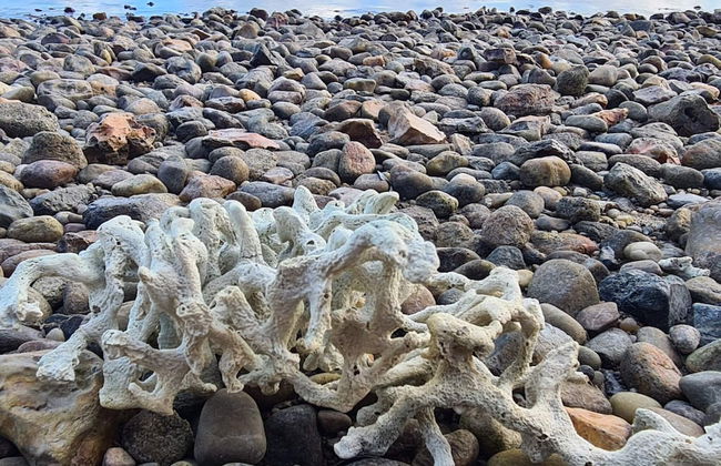 Cozy Holiday Home in Hurup near Limfjorden - Foto 7