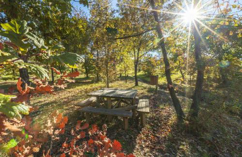 Chão do Rio - Turismo de Aldeia - Foto 59