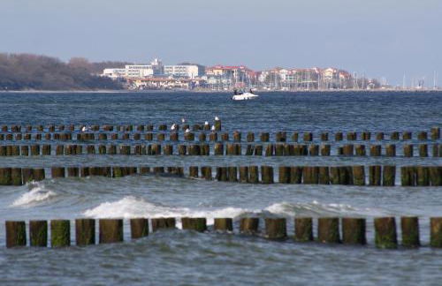 Baltic Green Haven - Foto 18