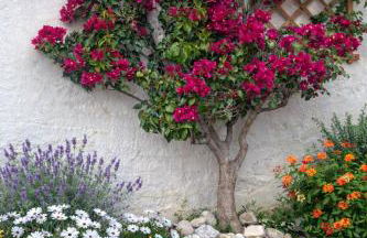 CASA PERSEA - Photo 25