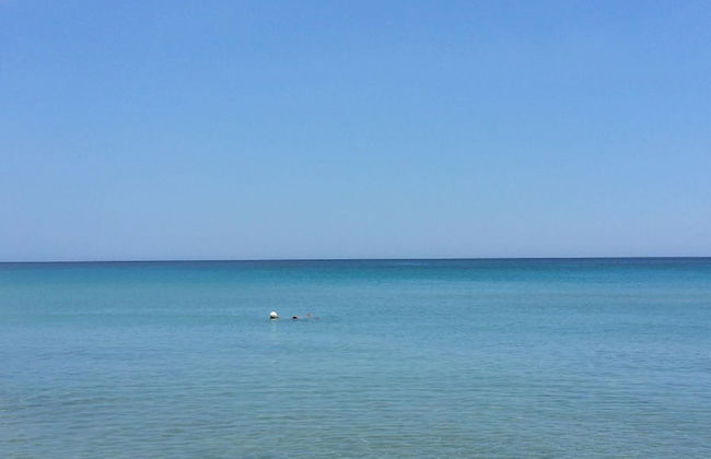 Apartment Eucaliptus sea View - Foto 5