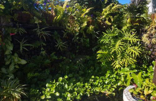 VILLA SILA - Foto 87